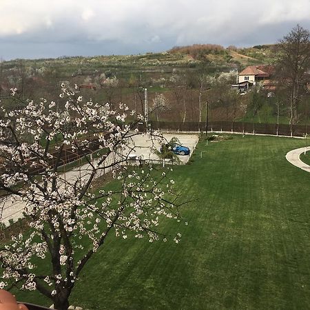 Mesesenii de Sus Pensiunea Amurg المظهر الخارجي الصورة