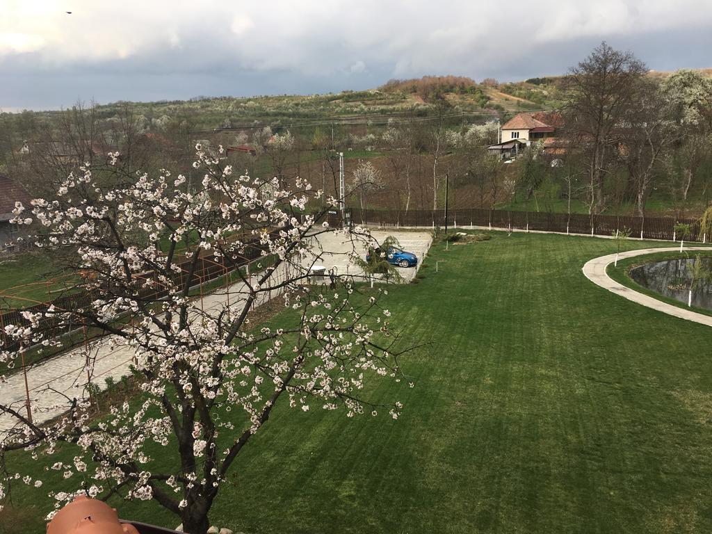 Mesesenii de Sus Pensiunea Amurg المظهر الخارجي الصورة